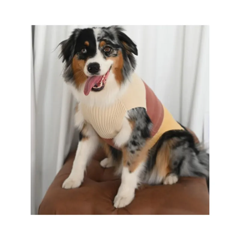 Polera Tricolor Bobby & Poppy