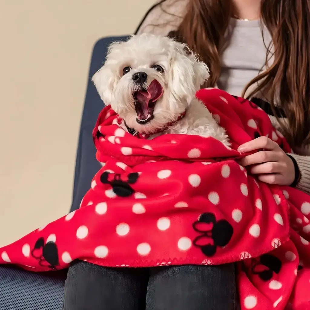 Manta Minnie