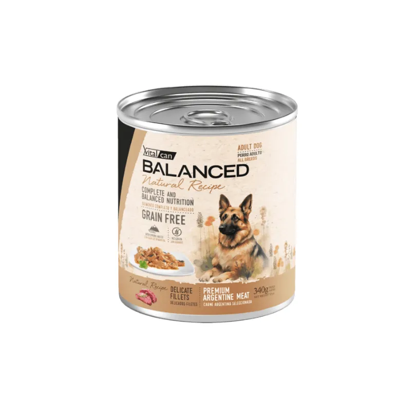 BNR 340gr lata Carne Perro